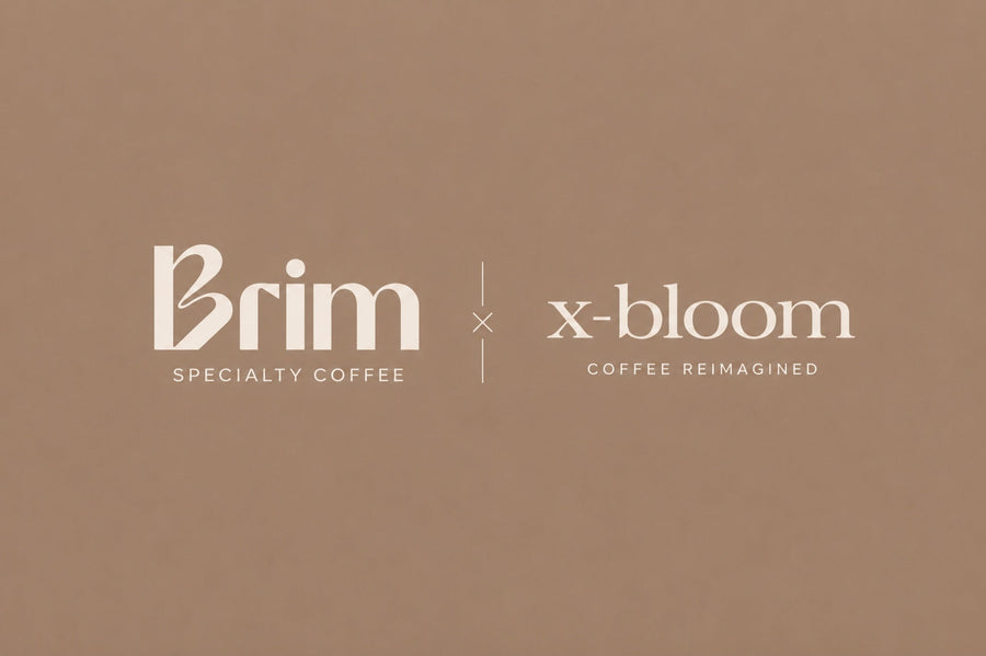 xBloom
